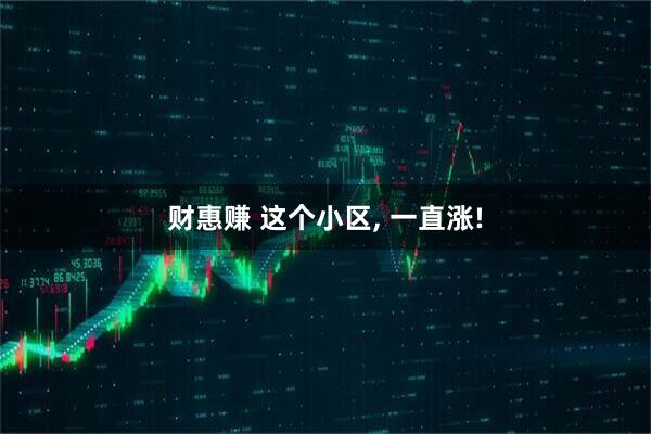 财惠赚 这个小区, 一直涨!