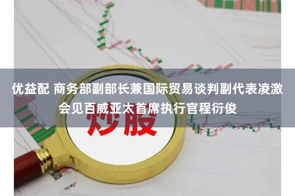 优益配 商务部副部长兼国际贸易谈判副代表凌激会见百威亚太首席执行官程衍俊