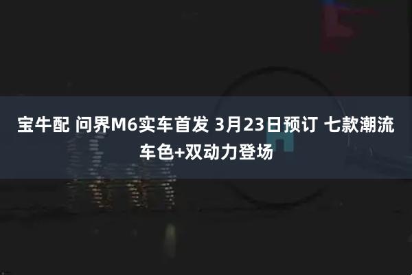 宝牛配 问界M6实车首发 3月23日预订 七款潮流车色+双动力登场