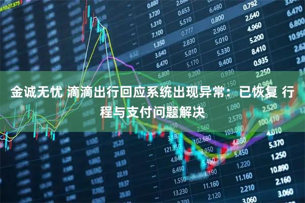 金诚无忧 滴滴出行回应系统出现异常：已恢复 行程与支付问题解决
