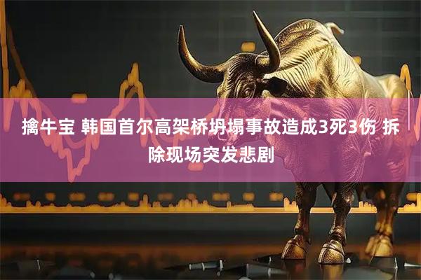 擒牛宝 韩国首尔高架桥坍塌事故造成3死3伤 拆除现场突发悲剧
