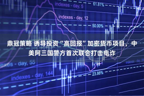 鼎冠策略 诱导投资“高回报”加密货币项目，中美阿三国警方首次联合打击电诈